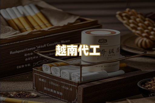 越南代工
